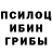 Псилоцибиновые грибы мухоморы ILdrum