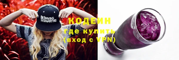 хмурый Бикин