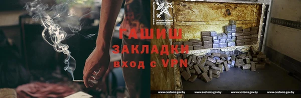 хмурый Бикин