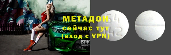 хмурый Бикин