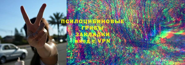 хмурый Бикин