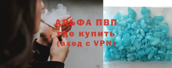 хмурый Бикин