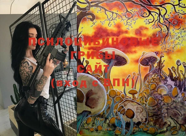 ECSTASY Белая Холуница