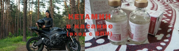 хмурый Бикин
