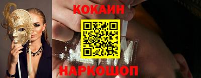 стафф Гатчина