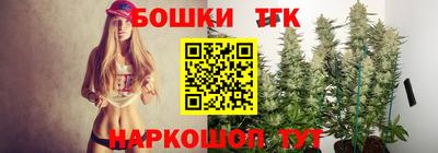 стафф Гатчина