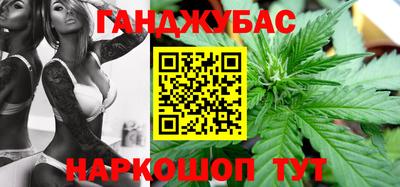 стафф Гатчина