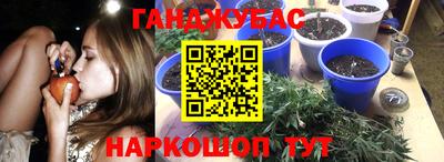 трава Гагарин
