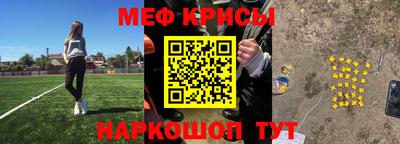 стафф Гатчина