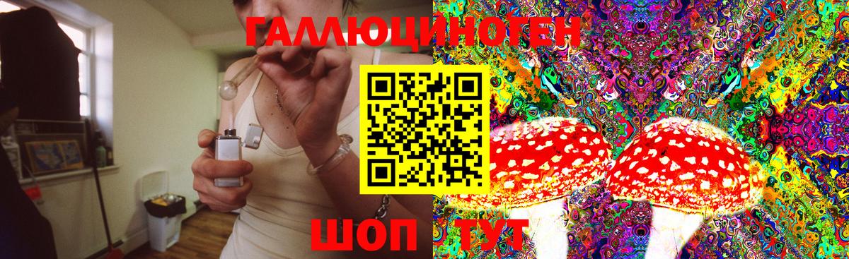 Галлюциногенные грибы MAGIC MUSHROOMS Гурьевск