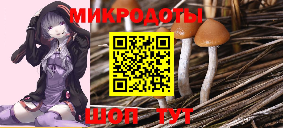 Галлюциногенные грибы Cubensis  Гурьевск  Псилоцибиновые грибы прущие грибы 